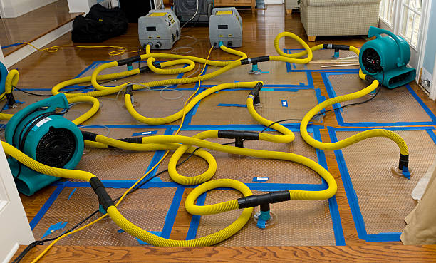 Professional Basement Flood Cleanup technician working in Algonquin, IL